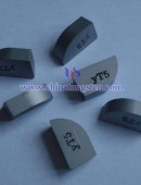 Tungsten Carbide Wear Parts-0147