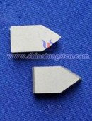 Tungsten Carbide Wear Parts-0150