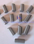 Tungsten Carbide Wear Parts-0161