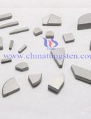 Tungsten Carbide Wear Parts-0162