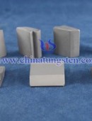 Tungsten Carbide Wear Parts-0164