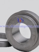 Tungsten Carbide Structural Part-0025