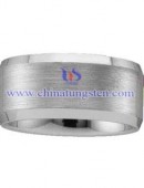 Tungsten Carbide Fancy Band-3224