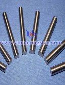 Silver Tungsten Rod-0181