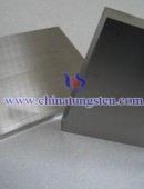 Silver Tungsten Plate - 0001
