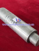 glass molybdenum electrode-0010